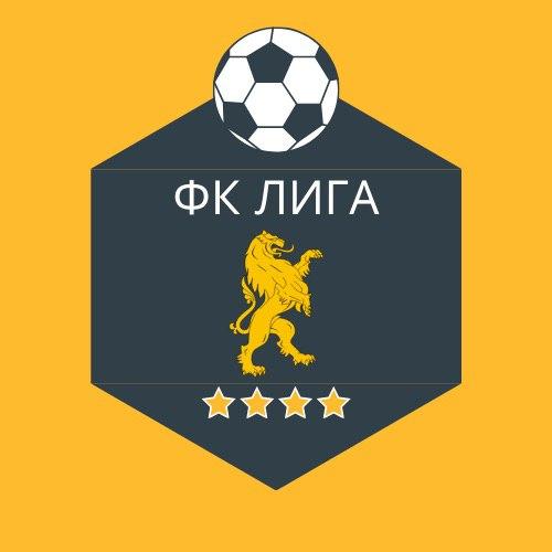 Футбольный клуб Лига - г.Одинцово