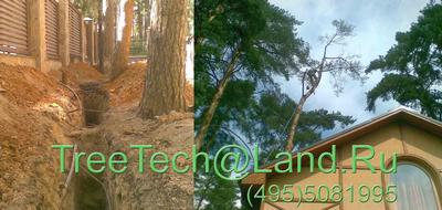 TreeTech - г.Одинцово